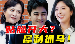 娱乐圈前排吃瓜小说推荐,前排吃瓜，揭秘明星背后的秘密